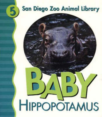 Baby Hippopotamus (Board book)