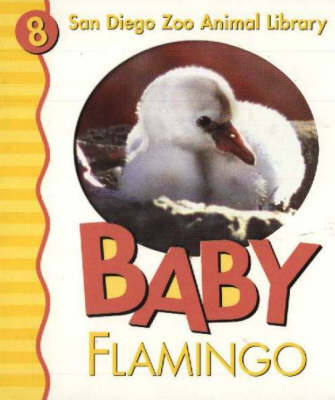 Baby Flamingo (Board book)