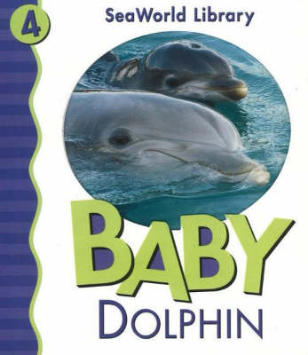 Baby Dolphin (Board book)