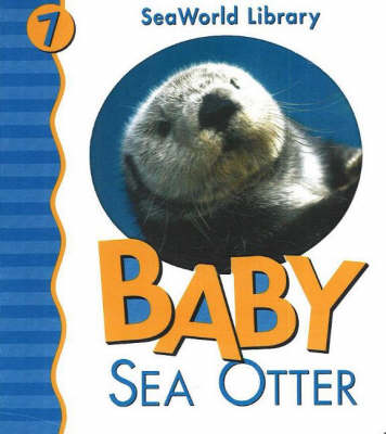 Baby Sea Otter (Board book)
