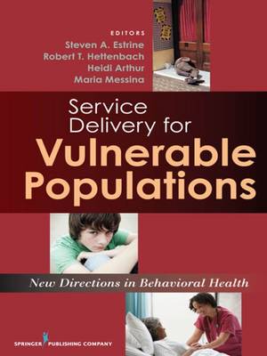 New Directions in Human Services Delivery: Strategies for Vulnerable Populations (Hardback)