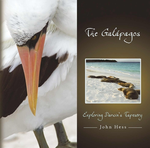 The Galapagos: Exploring Darwin's Tapestry (Hardback)