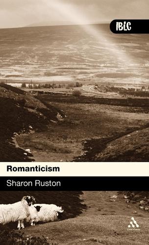 Romanticism - Introductions to British Literature and Culture S. (Hardback)