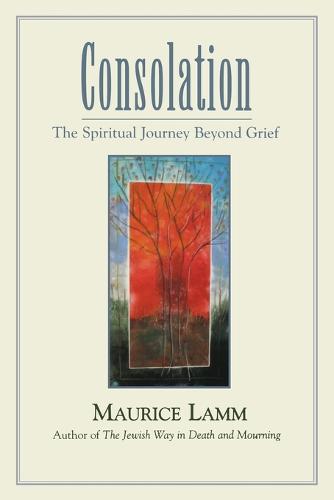 Consolation: The Spiritual Journey Beyond Grief (Paperback)