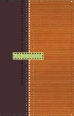 RVR60 Biblia De Referencia Thompson Tamano Persoanl (Leather / fine binding)