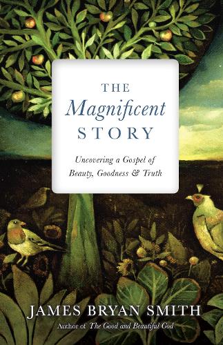 The Magnificent Story: Uncovering a Gospel of Beauty, Goodness, and Truth - Apprentice Resources (Hardback)