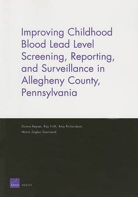 Improving Childhood Blood Lead Level Screening, Reporting, and Surveillance in Allegheny County, Pennsylvania (Paperback)