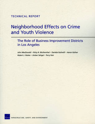 Neighborhood Effects on Crime and Youth Violence: the Role of Business Improvement Districts in Los Angeles (Paperback)