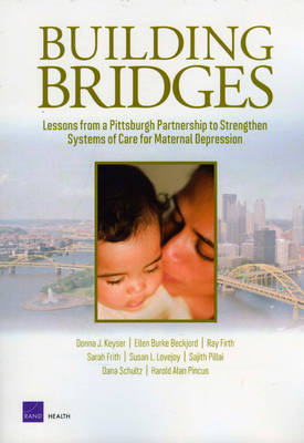 Building Bridges: Lessons from a Pittsburgh Partnership to Strengthen Systems of Care for Maternal Depression (Paperback)