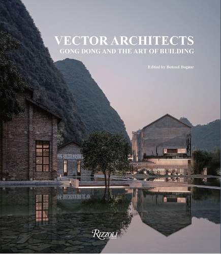 Vector Architects: Gong Dong and the Art of Building (Hardback)