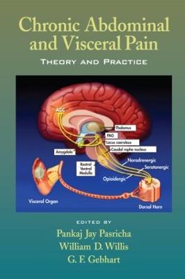 Chronic Abdominal and Visceral Pain: Theory and Practice (Hardback)
