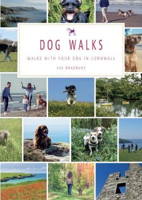 Dog Walks by Sue Bradbury Waterstones