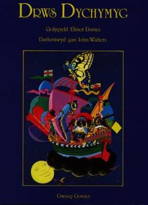 Drws Dychymyg (Hardback)