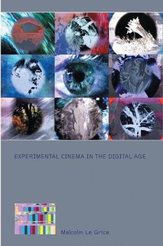 Experimental Cinema in the Digital Age (Hardback)