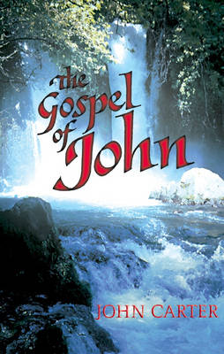 The Gospel of John (Hardback)