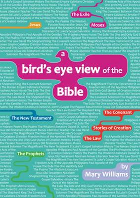 A Bird's-eye View of the Bible (Paperback)