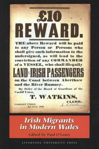 Irish Migrants in Modern Wales (Paperback)