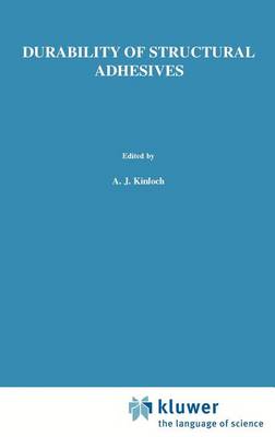 Durability of Structural Adhesives (Hardback)