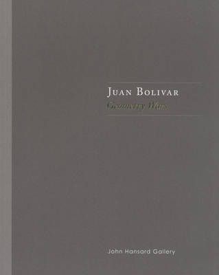 Juan Bolivar: Geometry Wars (Paperback)
