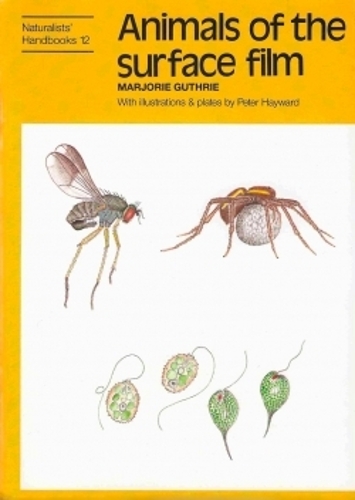 Animals of the surface film - Naturalists' Handbooks Vol. 12 (Hardback)