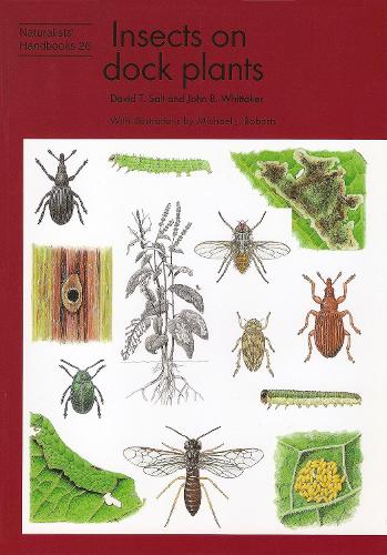 Insects on dock plants - Naturalists' Handbooks Vol. 26 (Paperback)