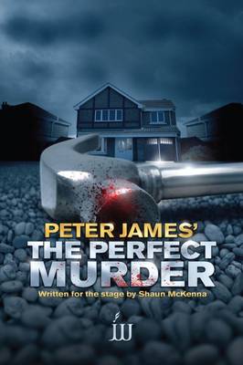 The Perfect Murder (Paperback)