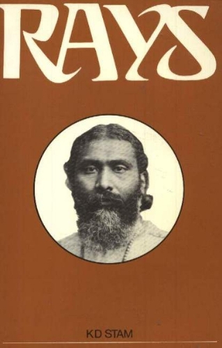 Rays (Paperback)