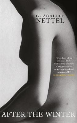 After the Winter (Hardback)