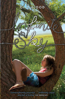 Infinite Sky (Paperback)