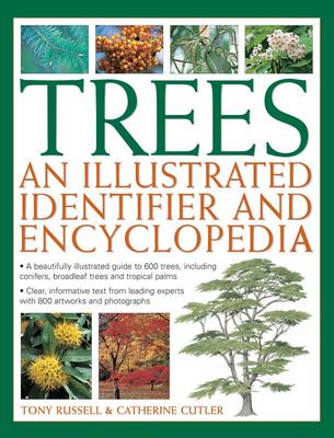 Trees: An Illustrated Identifier and Encyclopedia: A Beautifully Illustrated Guide to 600 Trees, Including Conifers, Broadleaf Trees and Tropical Palms (Paperback)