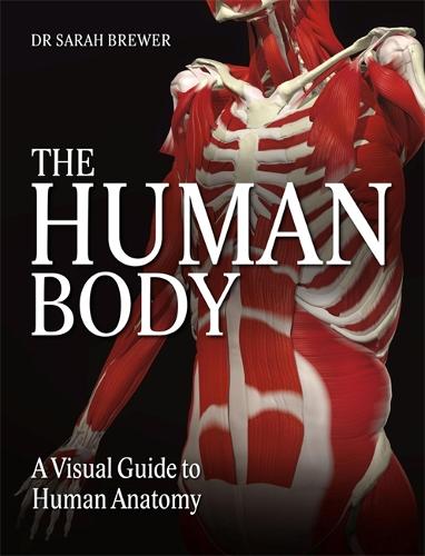 The Human Body By Dr Sarah Brewer Waterstones