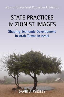 State Practices and Zionist Images: Shaping Economic Development in Arab Towns in Israel (Paperback)