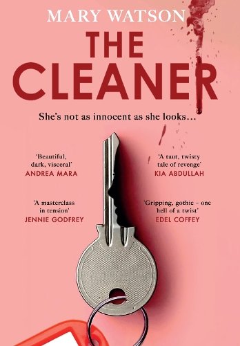 The Cleaner (Hardback)