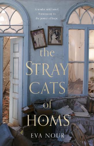 The Stray Cats of Homs (Hardback)