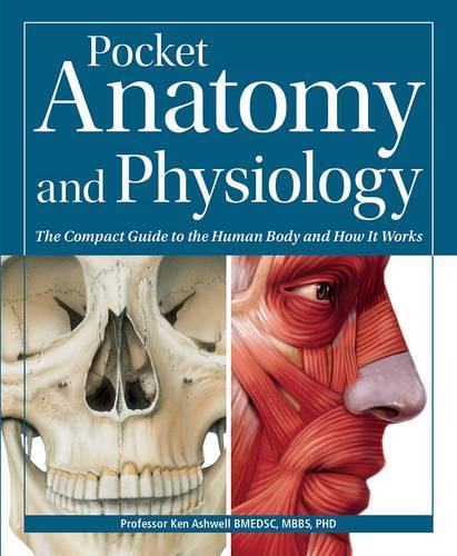 Pocket Anatomy & Physiology (Paperback)