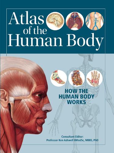 Atlas of the Human Body: How the Human Body Works (Paperback)