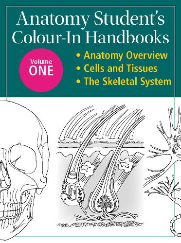 Anatomy Student's Colour-In Handbooks: Volume Two: The Muscular System; The Digestive System (Paperback)