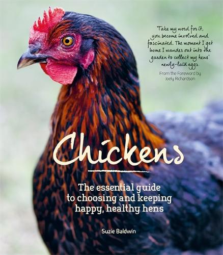 Chickens (Paperback)
