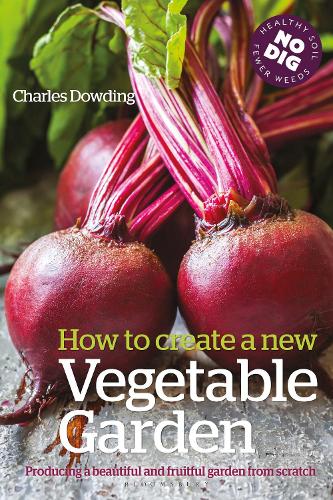 How to create a New Vegetable Garden: Producing a Beautiful and Fruitful Garden from Scratch (Paperback)