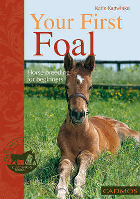 Your First Foal: Horse Breeding for Beginners (Paperback)