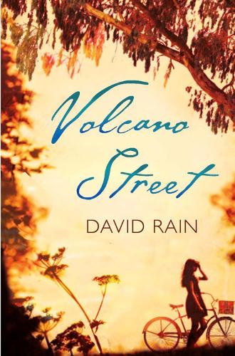 Volcano Street (Paperback)