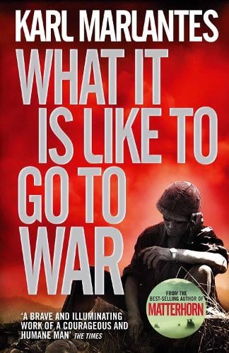 What It Is Like To Go To War (Paperback)