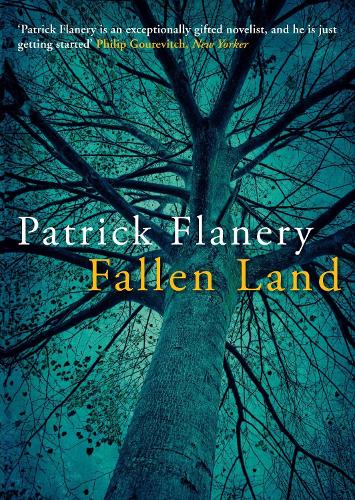 Fallen Land (Hardback)