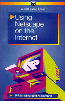 Using Netscape on the Internet - BP S. 415 (Paperback)
