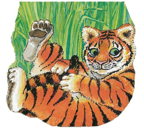 Pocket Tiger - Pocket Pals (Board book)