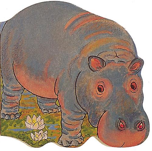 Pocket Hippo - Pocket Pals (Board book)