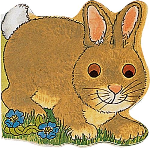 Pocket Bunny - Pocket Pals (Board book)