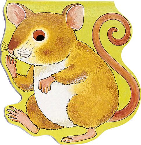 Pocket Mouse - Pocket Pals (Board book)