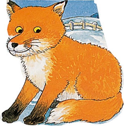 Pocket Fox - Pocket Pals (Board book)