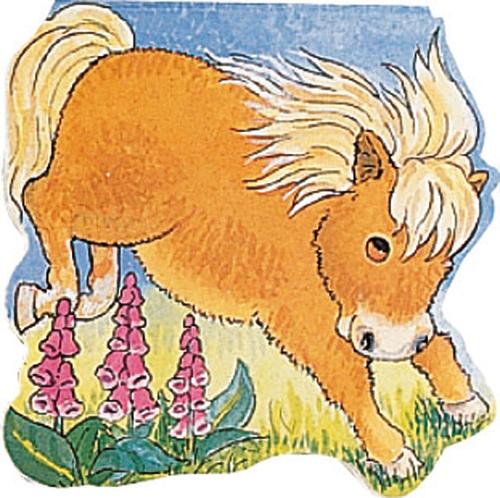 Pocket Pony - Pocket Pals (Board book)